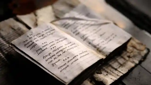 Diaries Of Despair