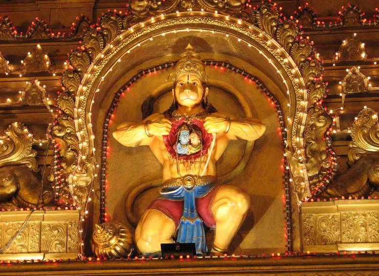 The Sacred Monkey God India