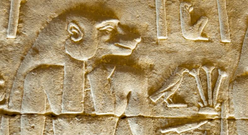 The Desert Monkey Deity Ancient Egypt